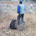 Beaver-In-Trap-Hauled-Away-Jay-Stewart